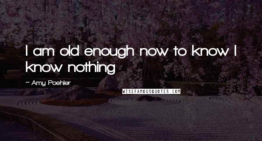 Amy Poehler Quotes: I am old enough now to know I know nothing