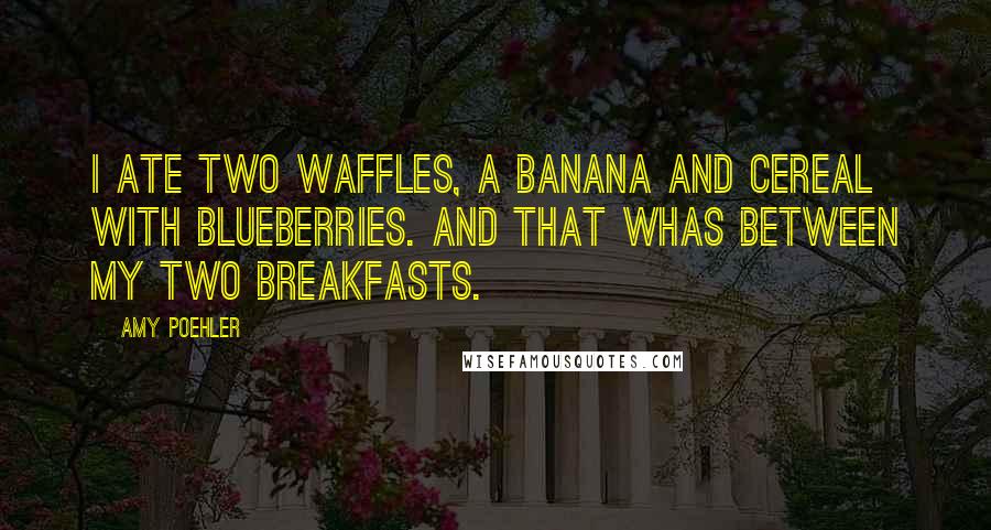 Amy Poehler Quotes: I ate two waffles, a banana and cereal with blueberries. And that whas between my two breakfasts.