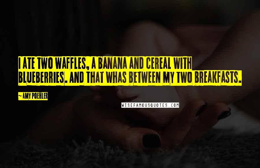 Amy Poehler Quotes: I ate two waffles, a banana and cereal with blueberries. And that whas between my two breakfasts.