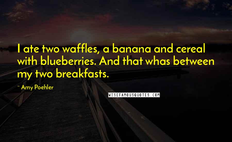 Amy Poehler Quotes: I ate two waffles, a banana and cereal with blueberries. And that whas between my two breakfasts.