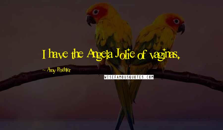 Amy Poehler Quotes: I have the Angela Jolie of vaginas.