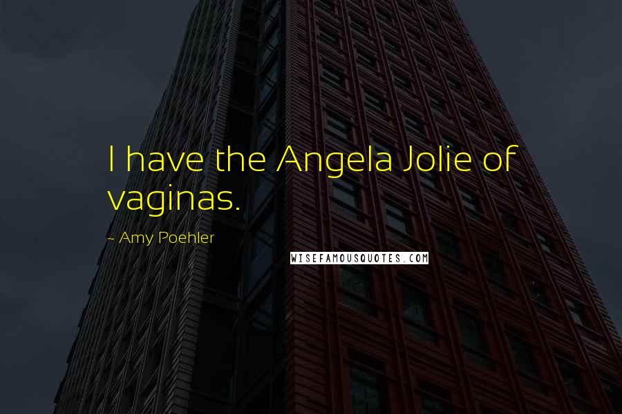 Amy Poehler Quotes: I have the Angela Jolie of vaginas.