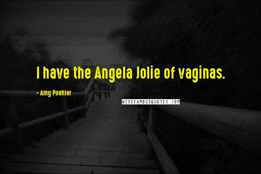 Amy Poehler Quotes: I have the Angela Jolie of vaginas.