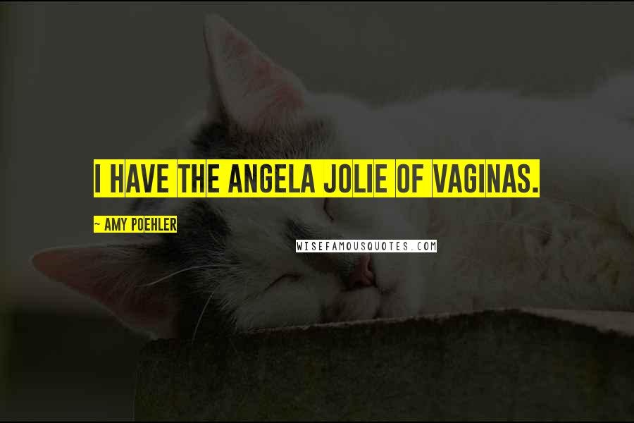 Amy Poehler Quotes: I have the Angela Jolie of vaginas.