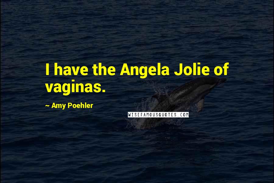 Amy Poehler Quotes: I have the Angela Jolie of vaginas.