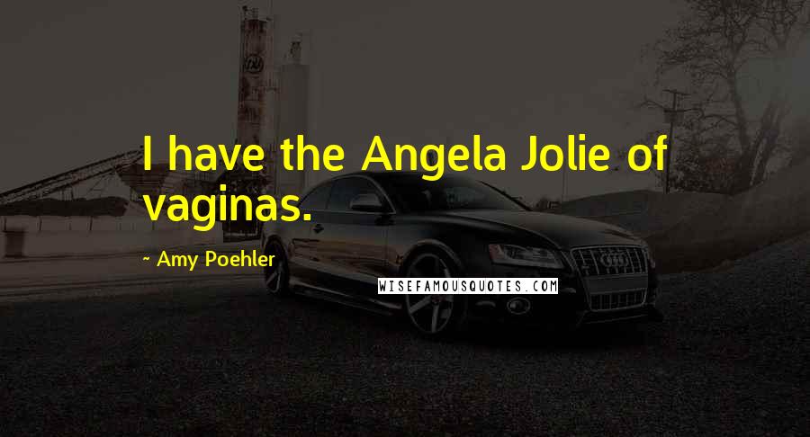 Amy Poehler Quotes: I have the Angela Jolie of vaginas.