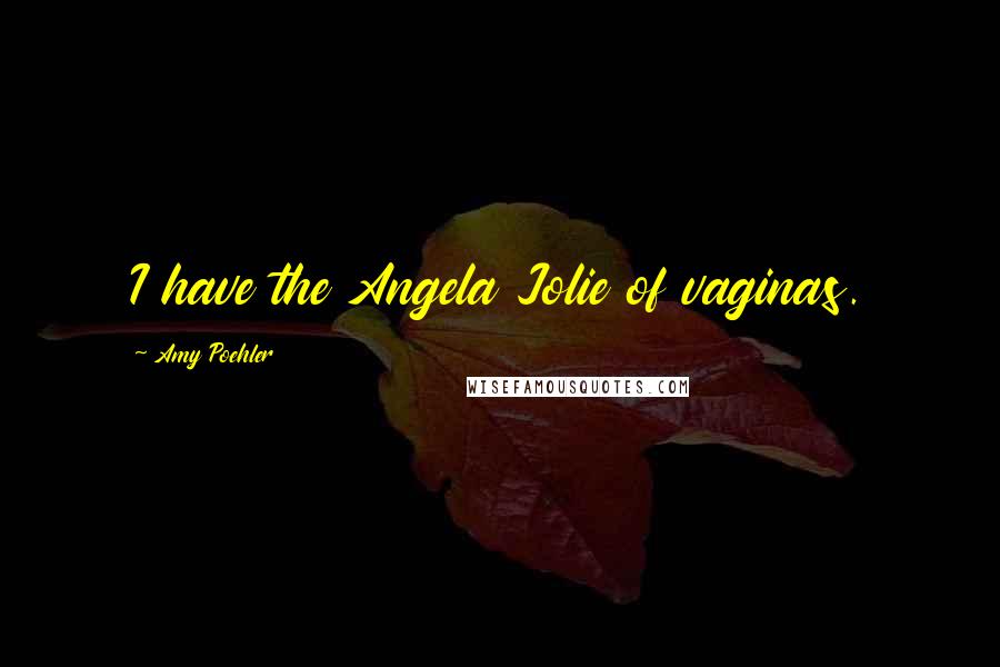 Amy Poehler Quotes: I have the Angela Jolie of vaginas.