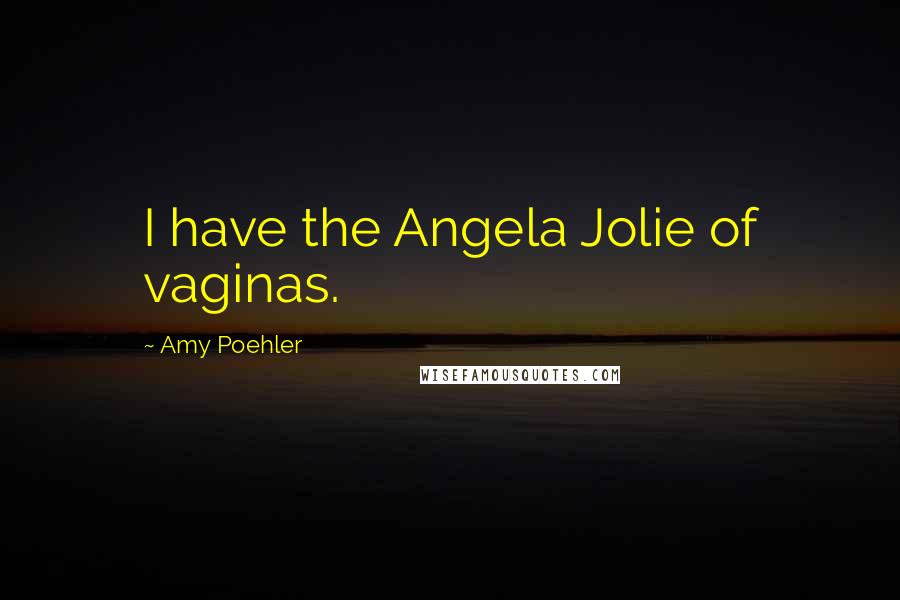 Amy Poehler Quotes: I have the Angela Jolie of vaginas.