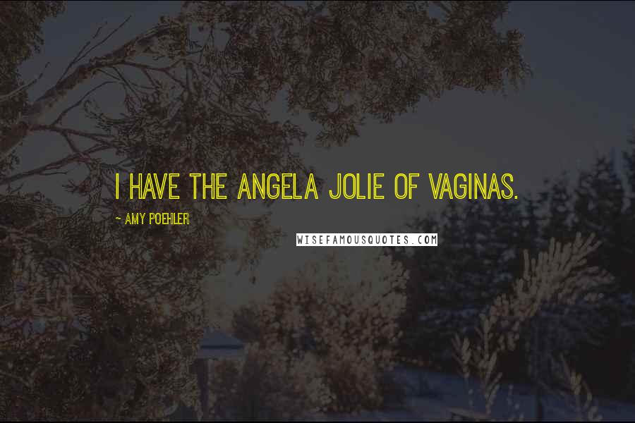 Amy Poehler Quotes: I have the Angela Jolie of vaginas.