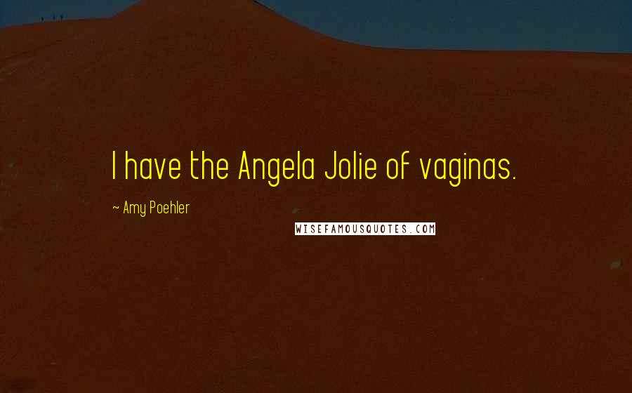 Amy Poehler Quotes: I have the Angela Jolie of vaginas.