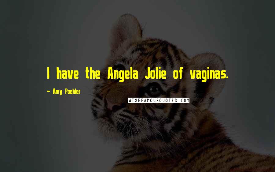 Amy Poehler Quotes: I have the Angela Jolie of vaginas.