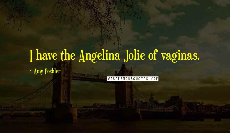 Amy Poehler Quotes: I have the Angelina Jolie of vaginas.