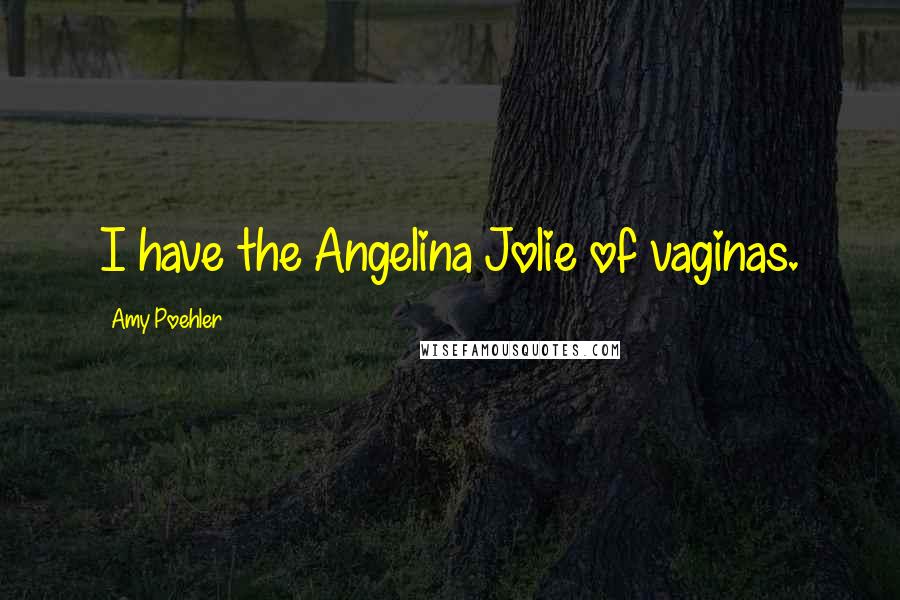 Amy Poehler Quotes: I have the Angelina Jolie of vaginas.