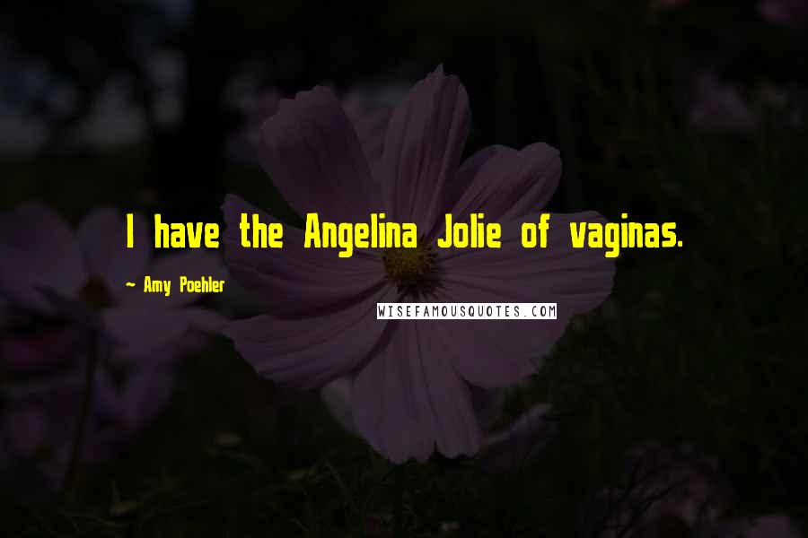 Amy Poehler Quotes: I have the Angelina Jolie of vaginas.