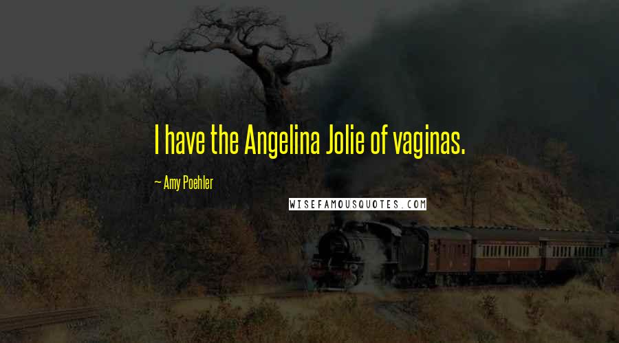 Amy Poehler Quotes: I have the Angelina Jolie of vaginas.