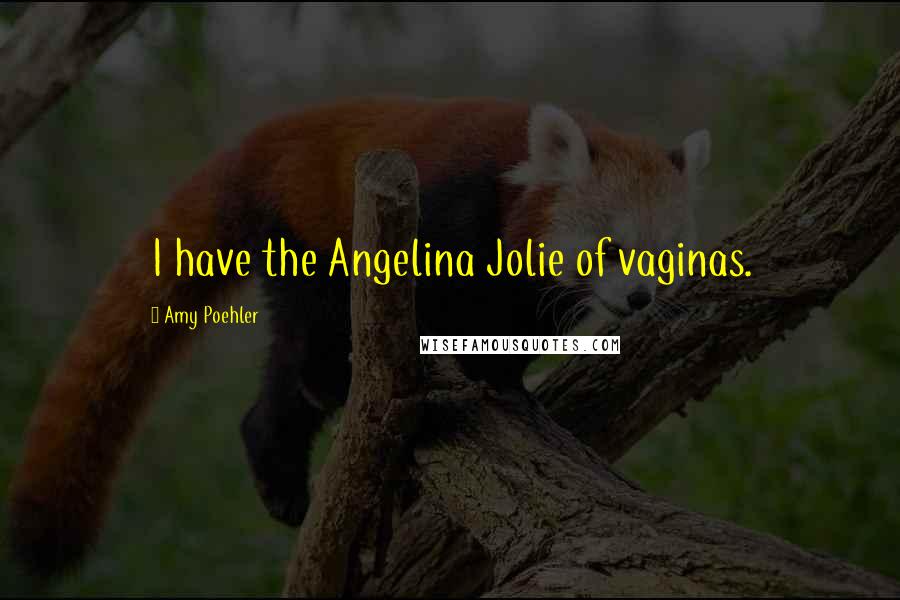 Amy Poehler Quotes: I have the Angelina Jolie of vaginas.