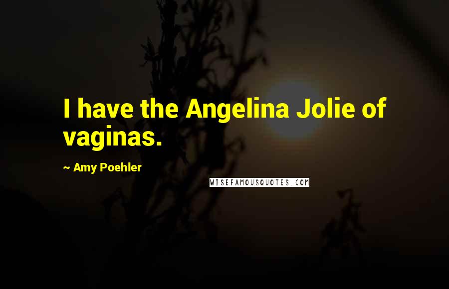 Amy Poehler Quotes: I have the Angelina Jolie of vaginas.