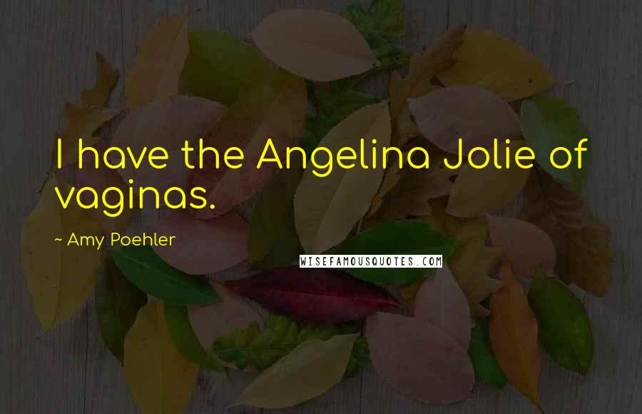 Amy Poehler Quotes: I have the Angelina Jolie of vaginas.