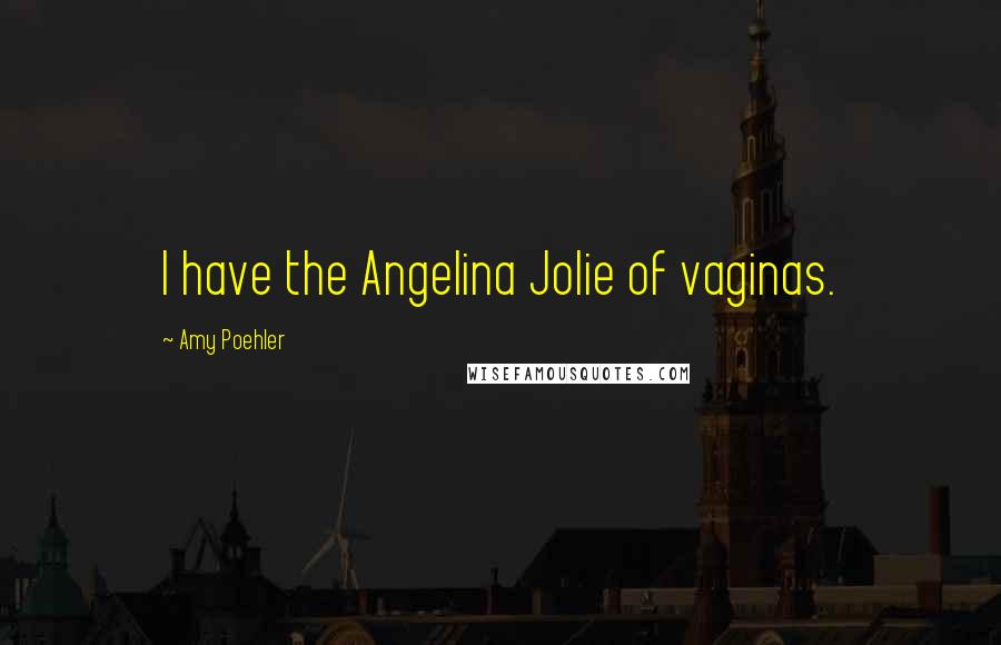 Amy Poehler Quotes: I have the Angelina Jolie of vaginas.