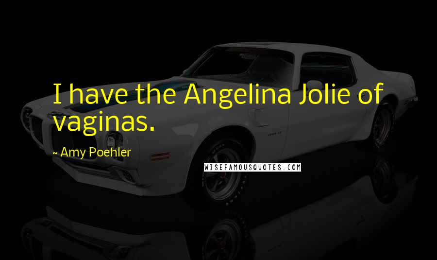 Amy Poehler Quotes: I have the Angelina Jolie of vaginas.