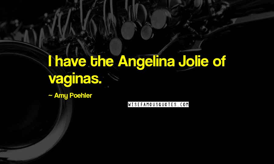 Amy Poehler Quotes: I have the Angelina Jolie of vaginas.