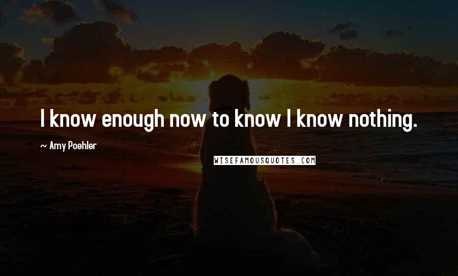 Amy Poehler Quotes: I know enough now to know I know nothing.