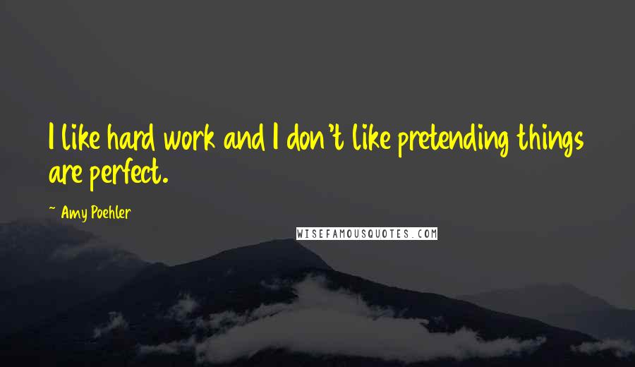 Amy Poehler Quotes: I like hard work and I don't like pretending things are perfect.