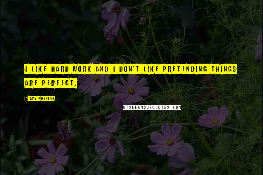 Amy Poehler Quotes: I like hard work and I don't like pretending things are perfect.