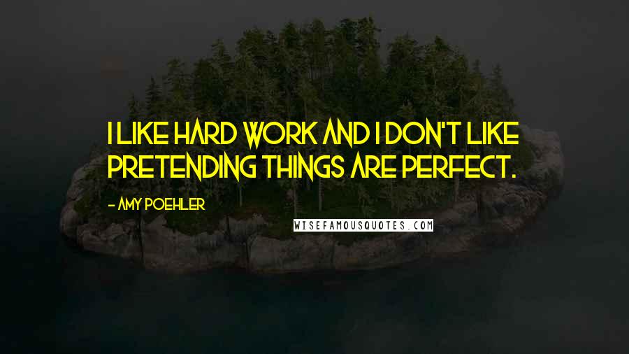 Amy Poehler Quotes: I like hard work and I don't like pretending things are perfect.