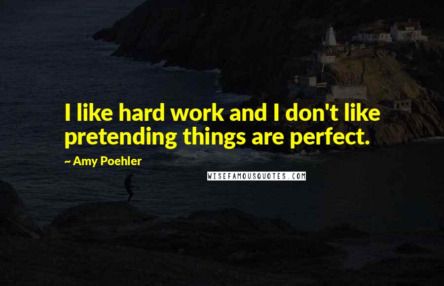 Amy Poehler Quotes: I like hard work and I don't like pretending things are perfect.