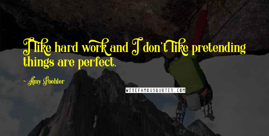 Amy Poehler Quotes: I like hard work and I don't like pretending things are perfect.