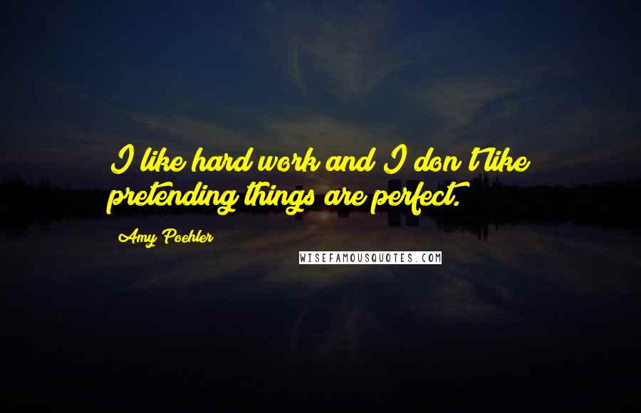 Amy Poehler Quotes: I like hard work and I don't like pretending things are perfect.