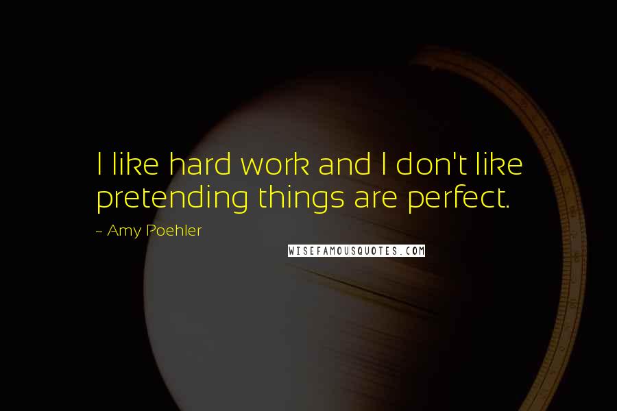 Amy Poehler Quotes: I like hard work and I don't like pretending things are perfect.