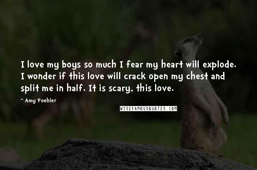 Amy Poehler Quotes: I love my boys so much I fear my heart will explode. I wonder if this love will crack open my chest and split me in half. It is scary, this love.