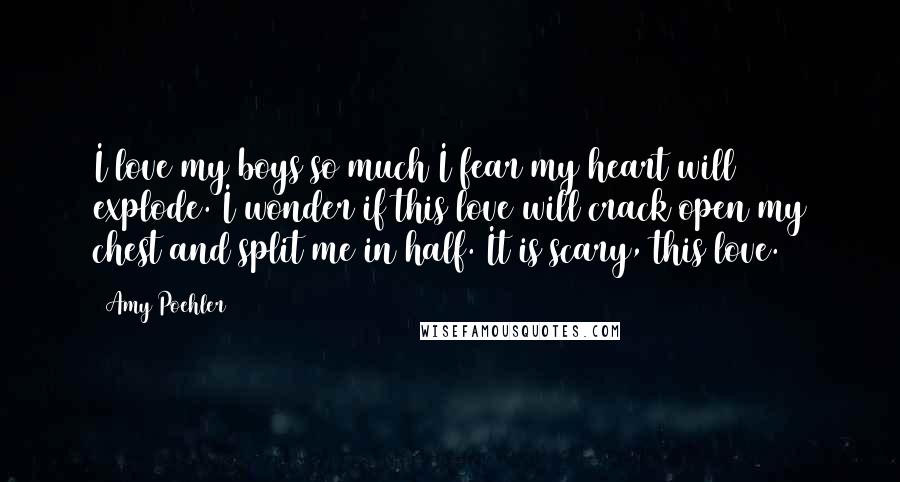 Amy Poehler Quotes: I love my boys so much I fear my heart will explode. I wonder if this love will crack open my chest and split me in half. It is scary, this love.