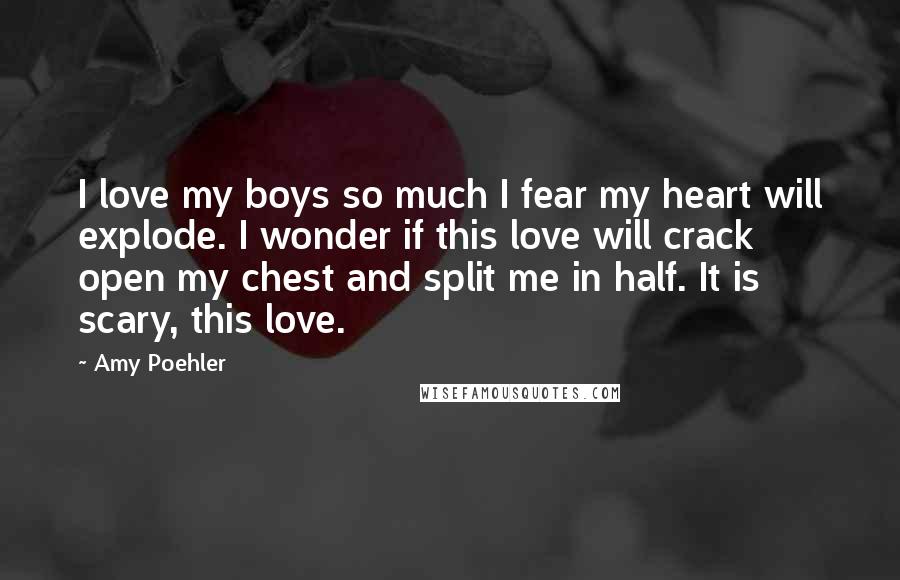 Amy Poehler Quotes: I love my boys so much I fear my heart will explode. I wonder if this love will crack open my chest and split me in half. It is scary, this love.