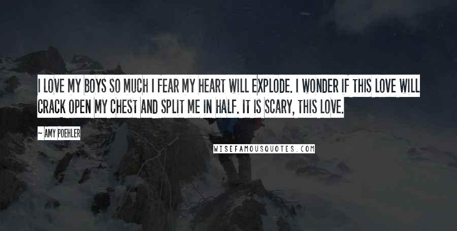 Amy Poehler Quotes: I love my boys so much I fear my heart will explode. I wonder if this love will crack open my chest and split me in half. It is scary, this love.