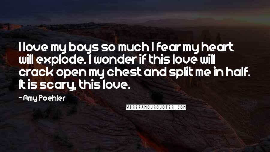 Amy Poehler Quotes: I love my boys so much I fear my heart will explode. I wonder if this love will crack open my chest and split me in half. It is scary, this love.