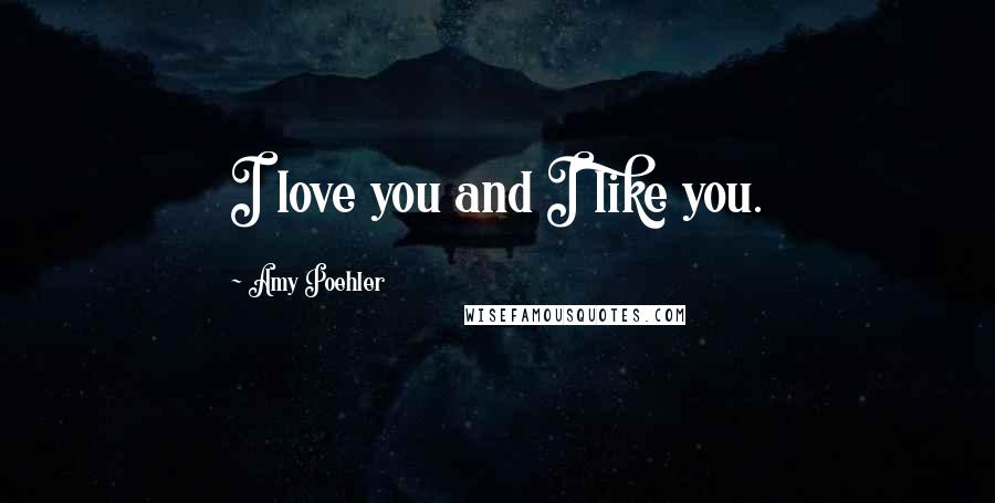 Amy Poehler Quotes: I love you and I like you.