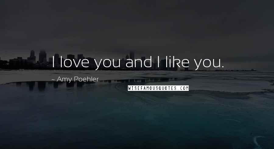 Amy Poehler Quotes: I love you and I like you.
