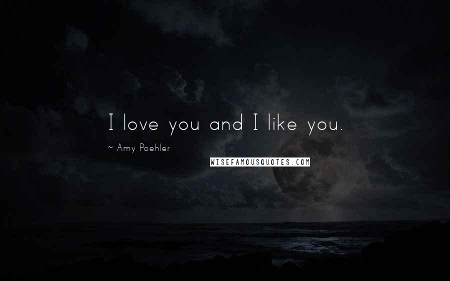 Amy Poehler Quotes: I love you and I like you.