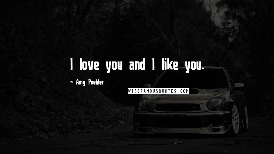 Amy Poehler Quotes: I love you and I like you.