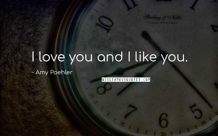 Amy Poehler Quotes: I love you and I like you.