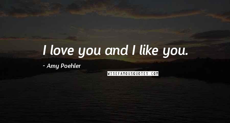 Amy Poehler Quotes: I love you and I like you.