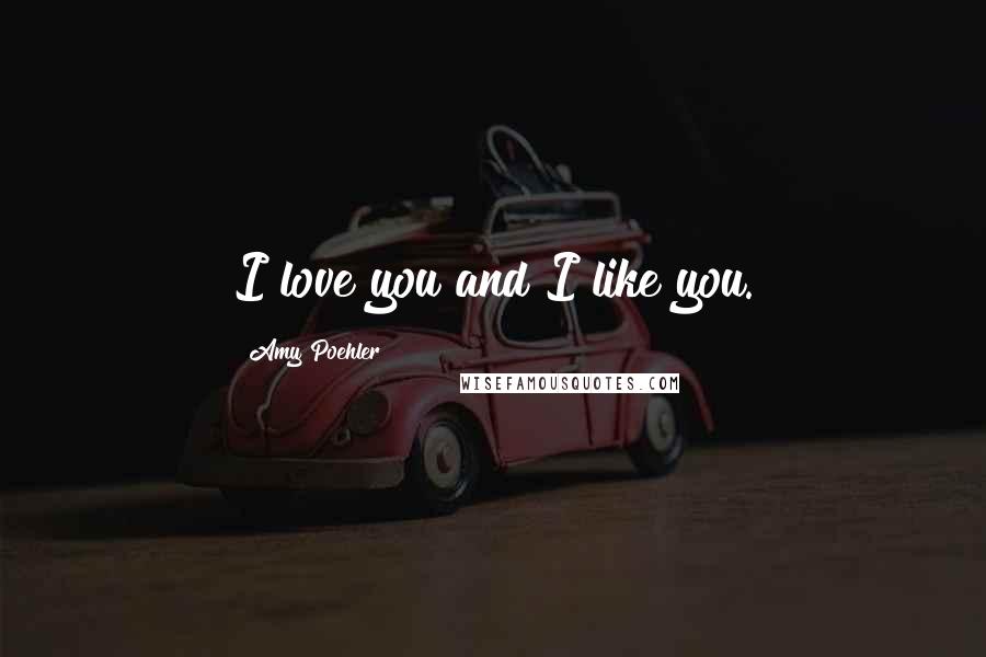 Amy Poehler Quotes: I love you and I like you.