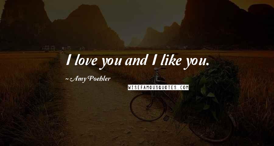 Amy Poehler Quotes: I love you and I like you.