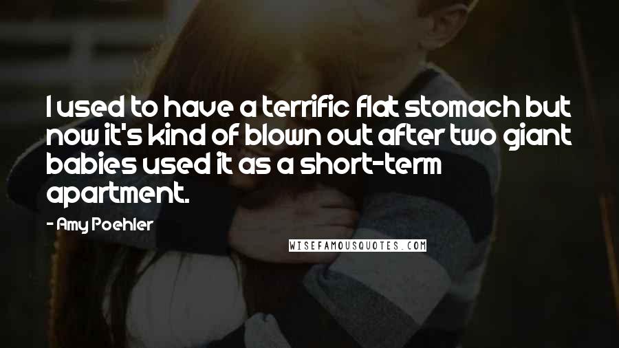 Amy Poehler Quotes: I used to have a terrific flat stomach but now it's kind of blown out after two giant babies used it as a short-term apartment.