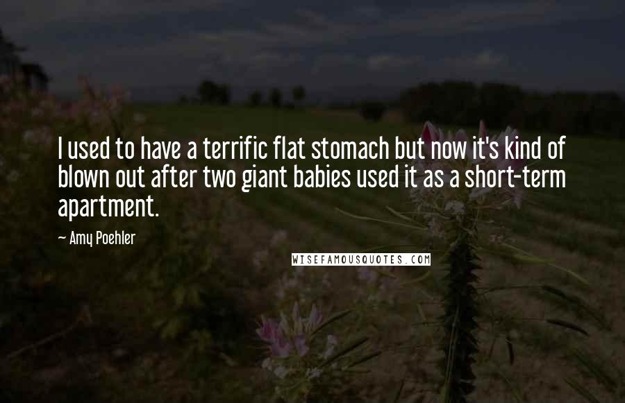 Amy Poehler Quotes: I used to have a terrific flat stomach but now it's kind of blown out after two giant babies used it as a short-term apartment.