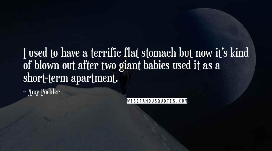 Amy Poehler Quotes: I used to have a terrific flat stomach but now it's kind of blown out after two giant babies used it as a short-term apartment.