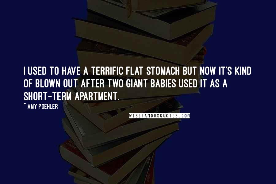 Amy Poehler Quotes: I used to have a terrific flat stomach but now it's kind of blown out after two giant babies used it as a short-term apartment.